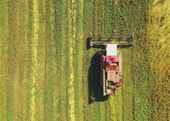 Agricoltura in prima linea: il nuovo volto degli agricoltori italiani
