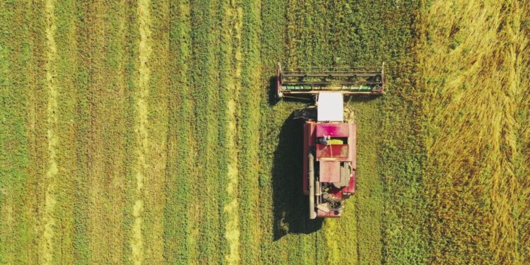 Agricoltura in prima linea: il nuovo volto degli agricoltori italiani