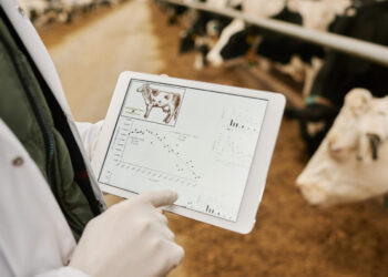 Zootecnia di precisione