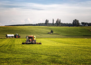 Agricoltura seminativa: sfide del 2025!