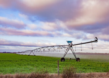Agricoltura Seminativa: Cosa Fare a Luglio