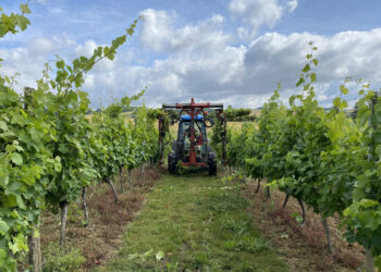 Cimatrice Panorama PELLENC