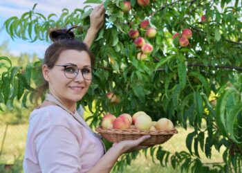 Cambiamenti climatici