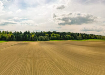 Prepara le semine autunnali