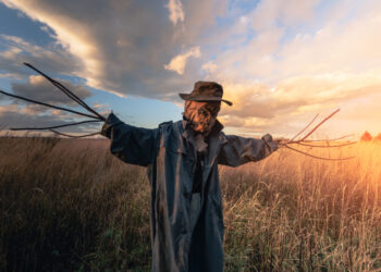 Oltre lo spaventapasseri