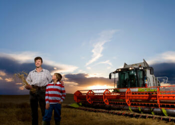 Fiera Agricola Verona 2026: guida pratica per visitatori ed espositori (4–7 febbraio)