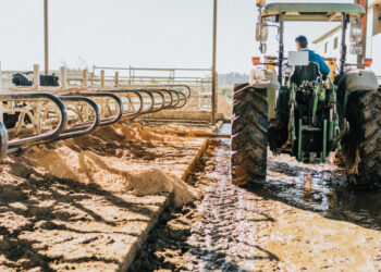 Liquami, letami e digestato
