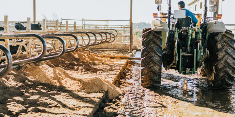 Liquami, letami e digestato