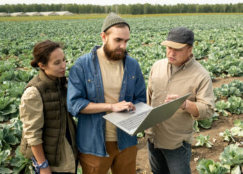 Cover crop e sovescio nei seminativi: più sostanza organica, meno input, più resa stabile