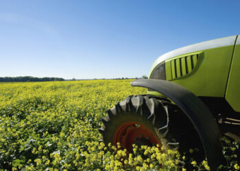 Carburanti: Cia, serve credito d’imposta per gasolio agricolo